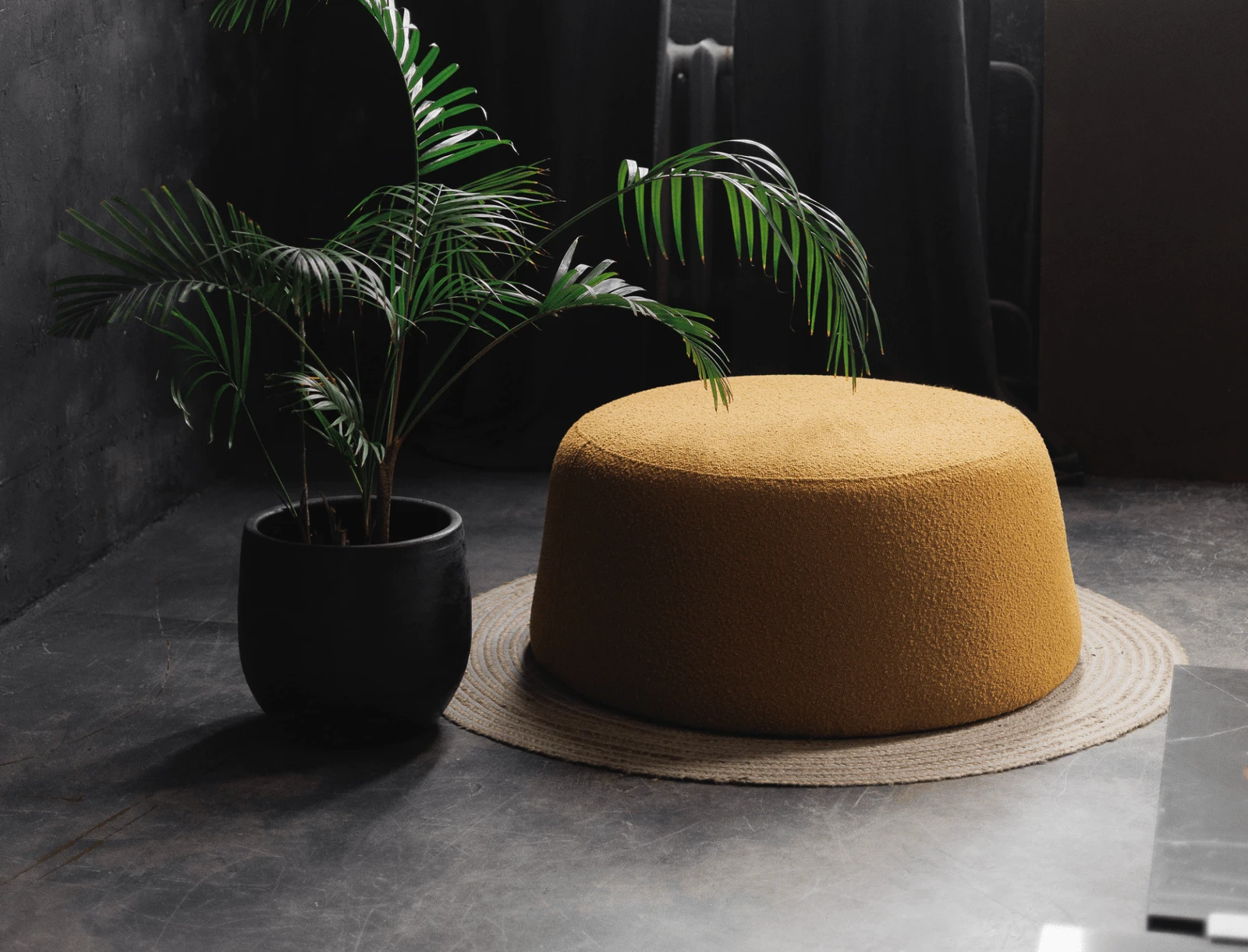 Mustard Copenhaghen 400 bouclé Macarons beside a palm