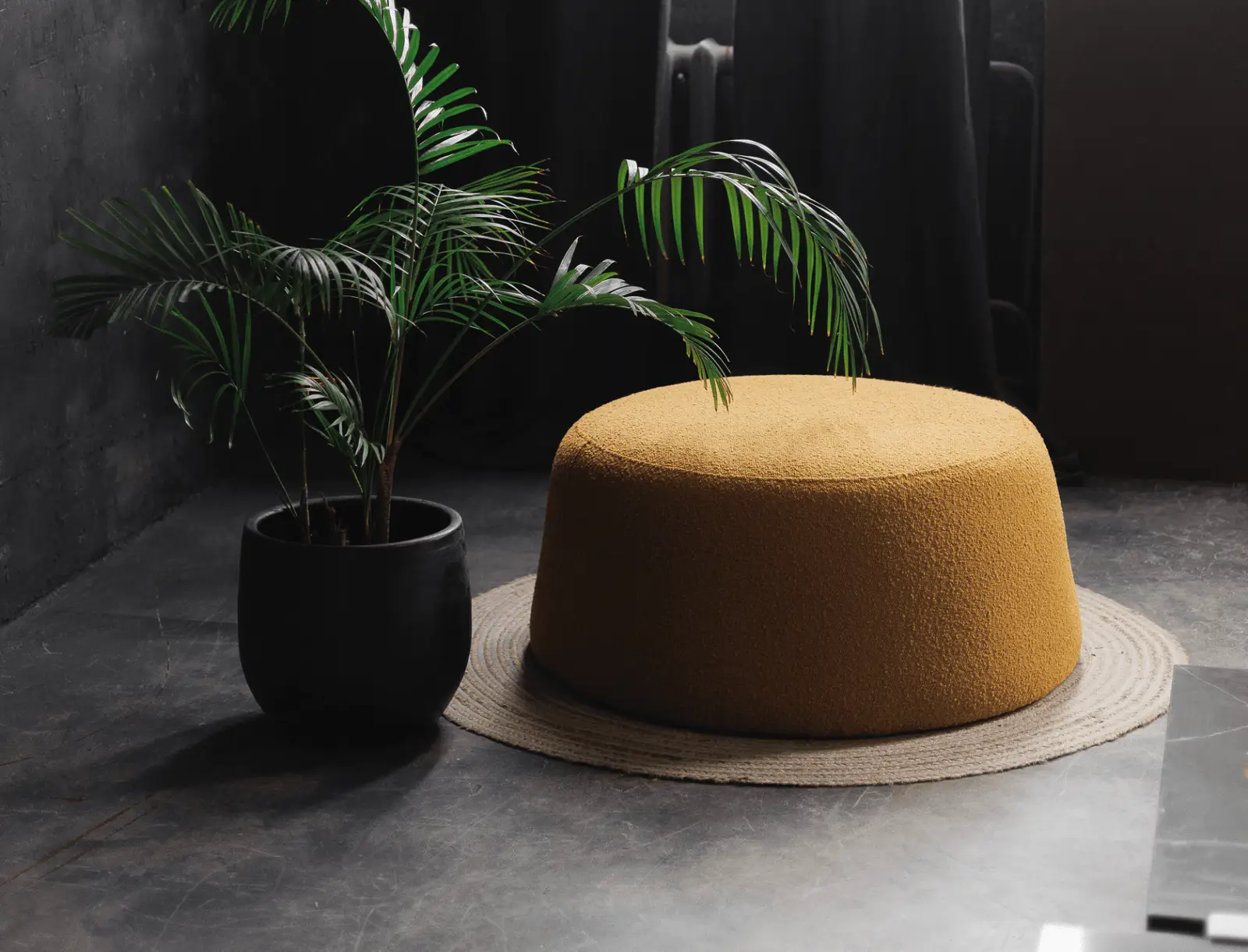 Mustard Copenhaghen 400 bouclé Macarons beside a palm