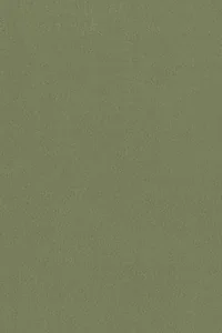 Matt Velvet 34 fabric swatch