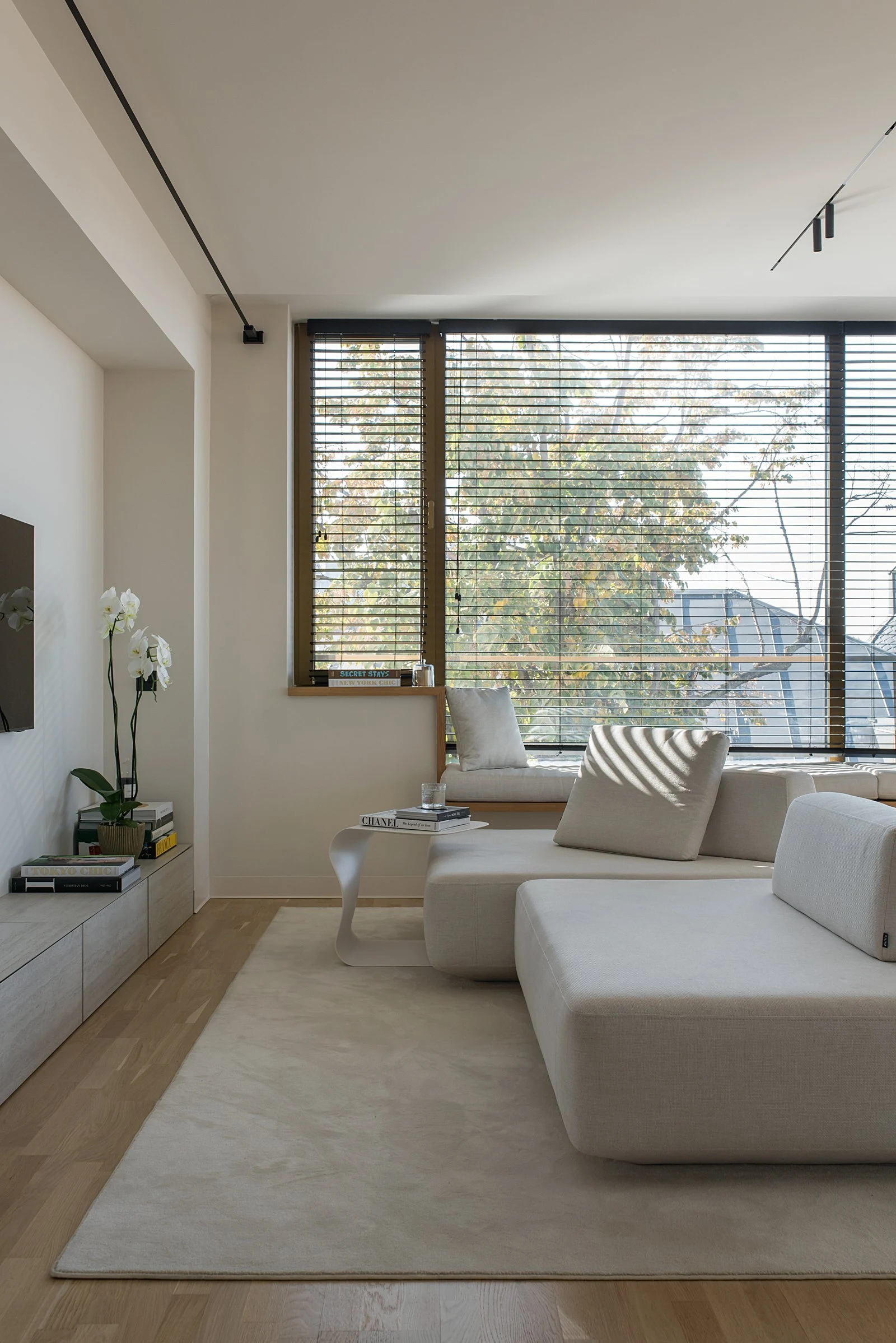 Cream Deseda beside a window with horizontal blinds and an oak floor